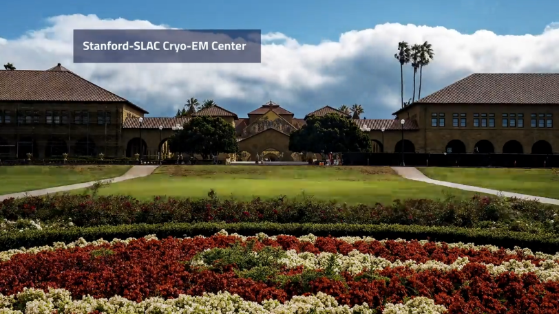 Stanford Campus