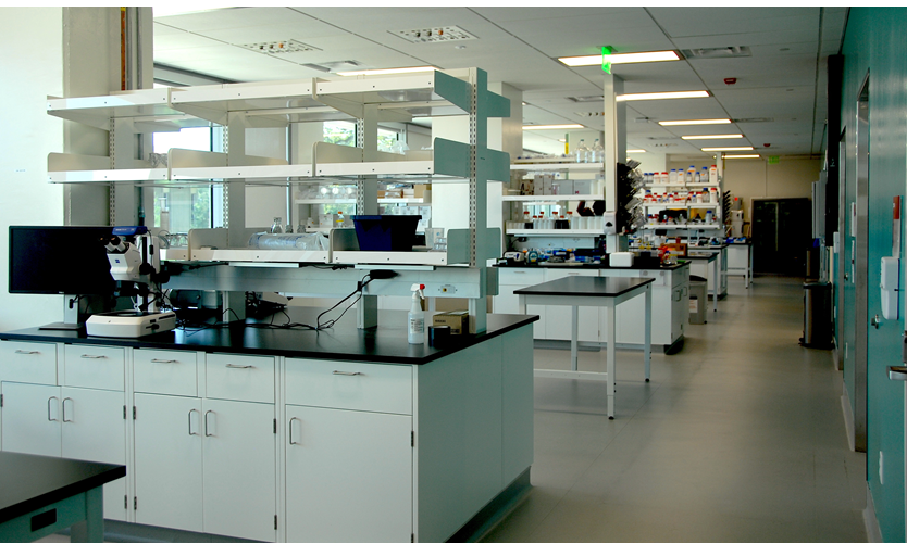 ASC Shared Wet Lab Space 