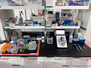 RNA Lab Area
