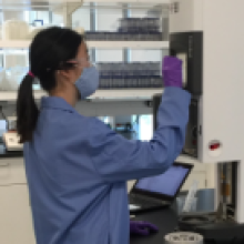 Vitrobot Mark IV Training